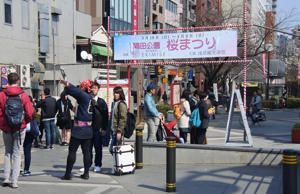 桜まつりの準備完了