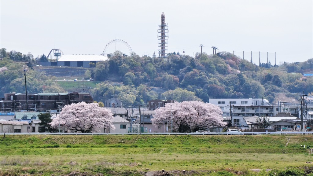久しぶりのよみうりランド