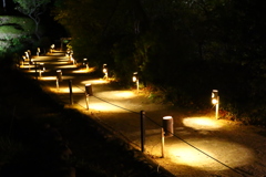 竹灯籠の散策路