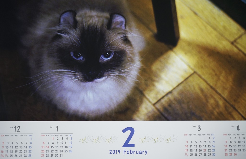 2月のカレンダー