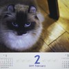 2月のカレンダー