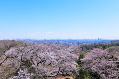 都心方面