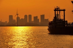 黄金色に輝く港