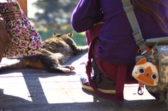 いいかげん機嫌直してよ～