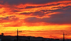 久しぶりの夕焼け