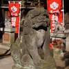 おいどんも元気だった？