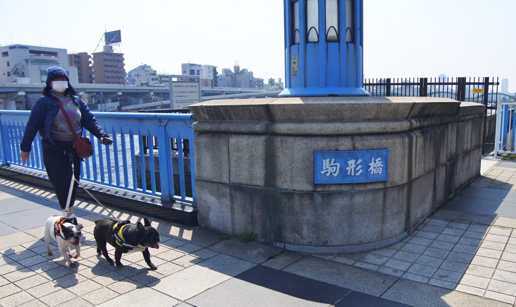 フレンチブルと駒形橋