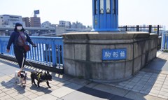 フレンチブルと駒形橋