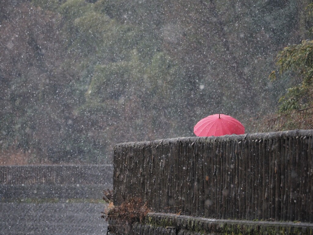 雪景色
