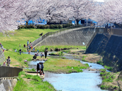 いつもの親水公園