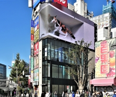 お久しぶり