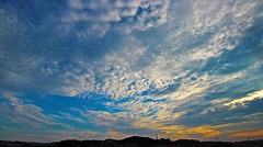 外出できない夏