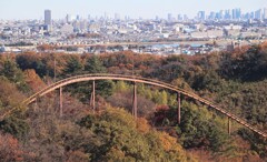 デジャブ