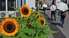 行ってらっしゃい！