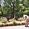 新宿中央公園のお嬢さん