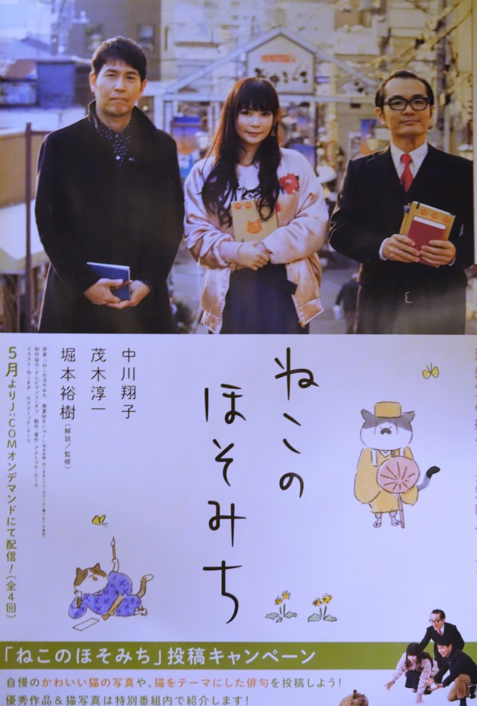 真夏の夜の猫句会