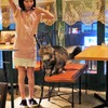 あそんでるほうがいいニャ