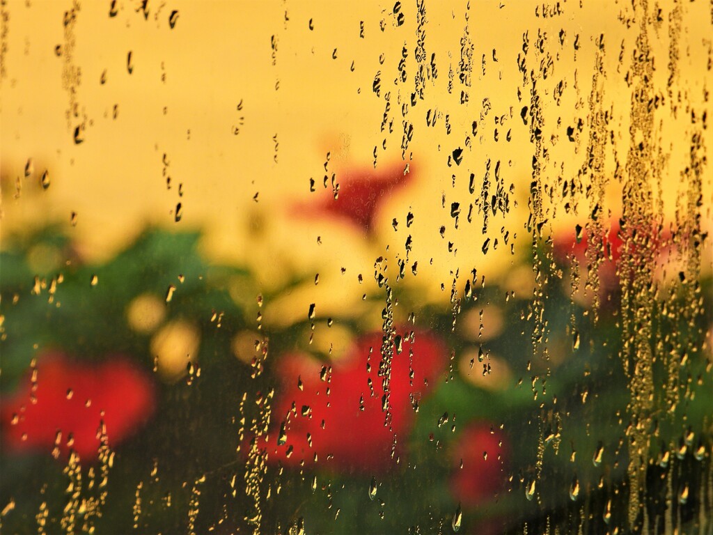 ソール・ライター風に