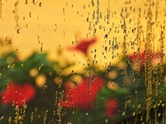 ソール・ライター風に