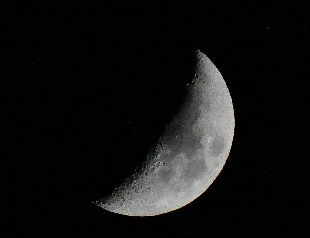 久しぶりの月夜