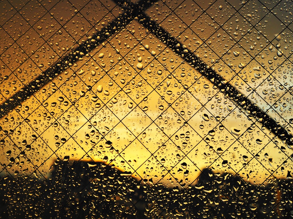 雷雨明け