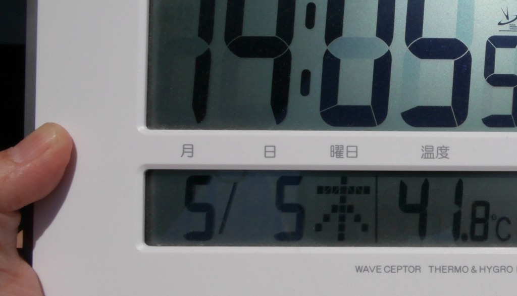 真夏の陽射し