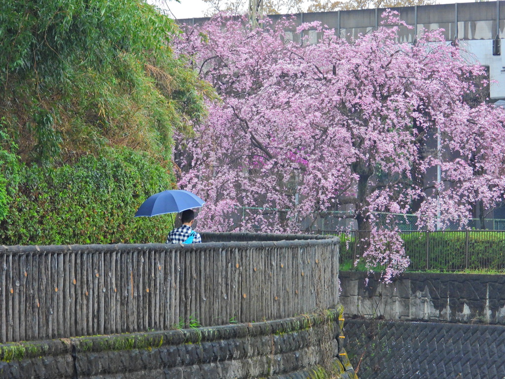 雨の日に
