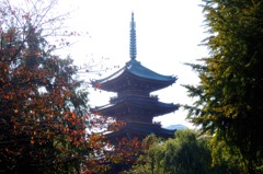 東京日和