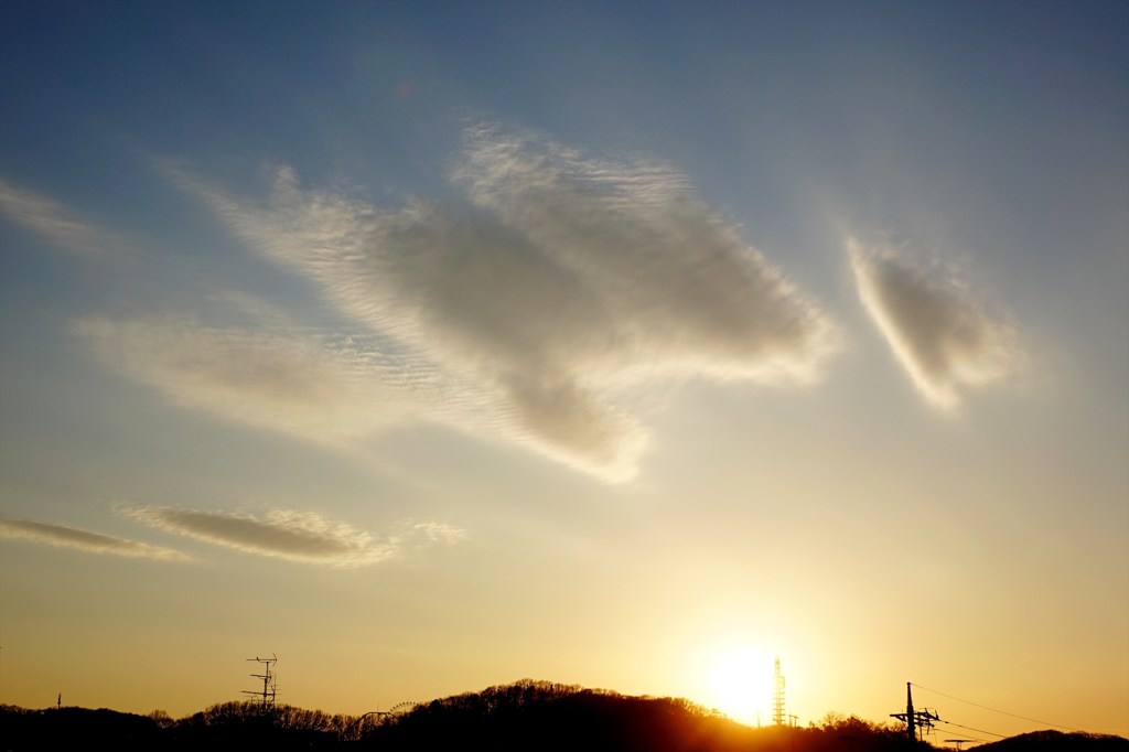 太陽の鳩