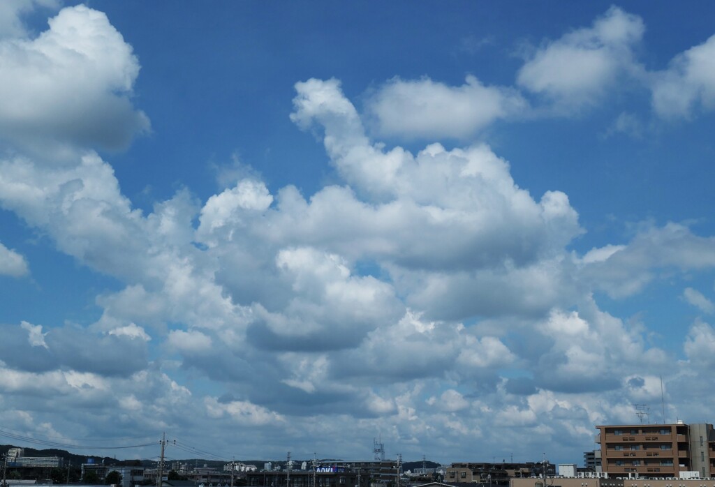 やっと梅雨明け