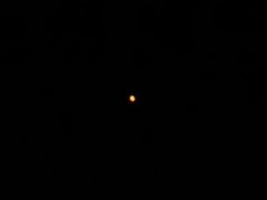 赤い火星は広島の星か