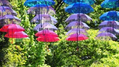 『シェルブールの雨傘』を思い出す