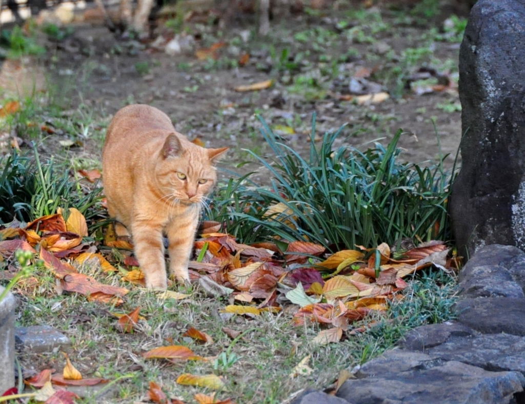まずはメンチ切る練習