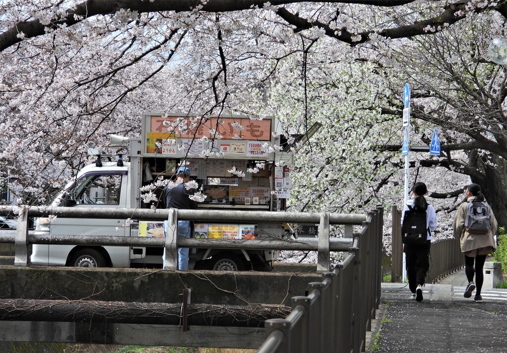 あ、焼き芋！
