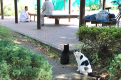 本番中なのでお静かに