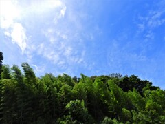 一句詠めそうな