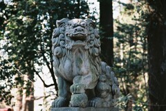 立派な狛犬