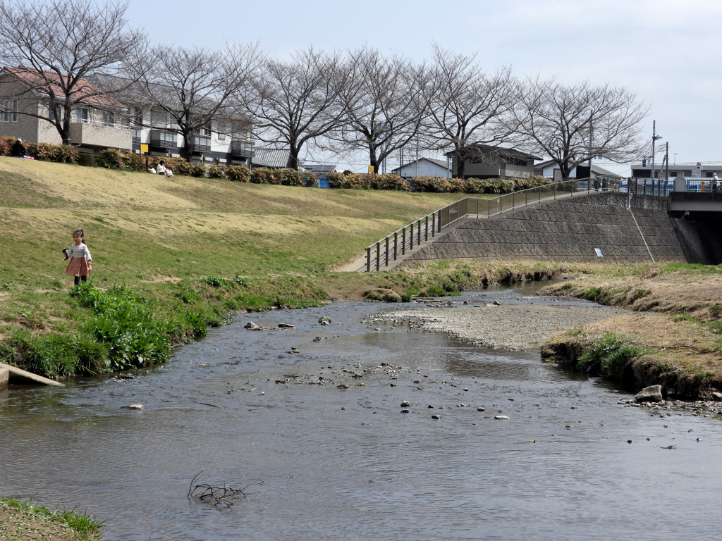 広い親水公園