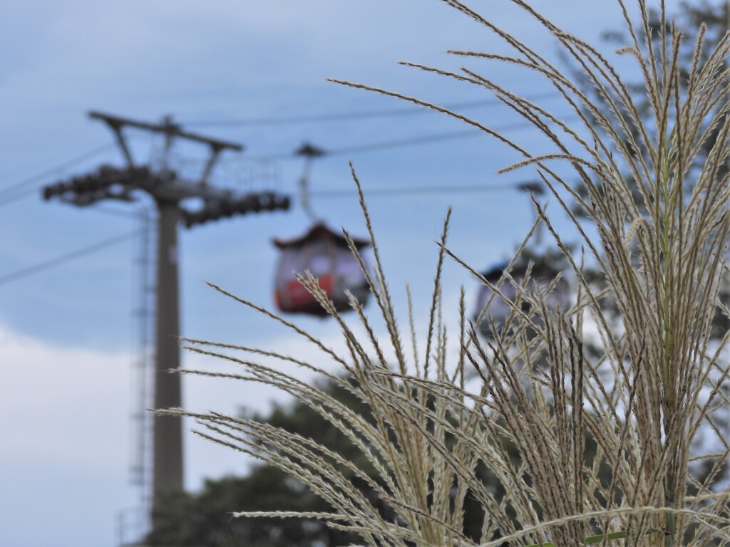 死ぬかと思った (T_T)