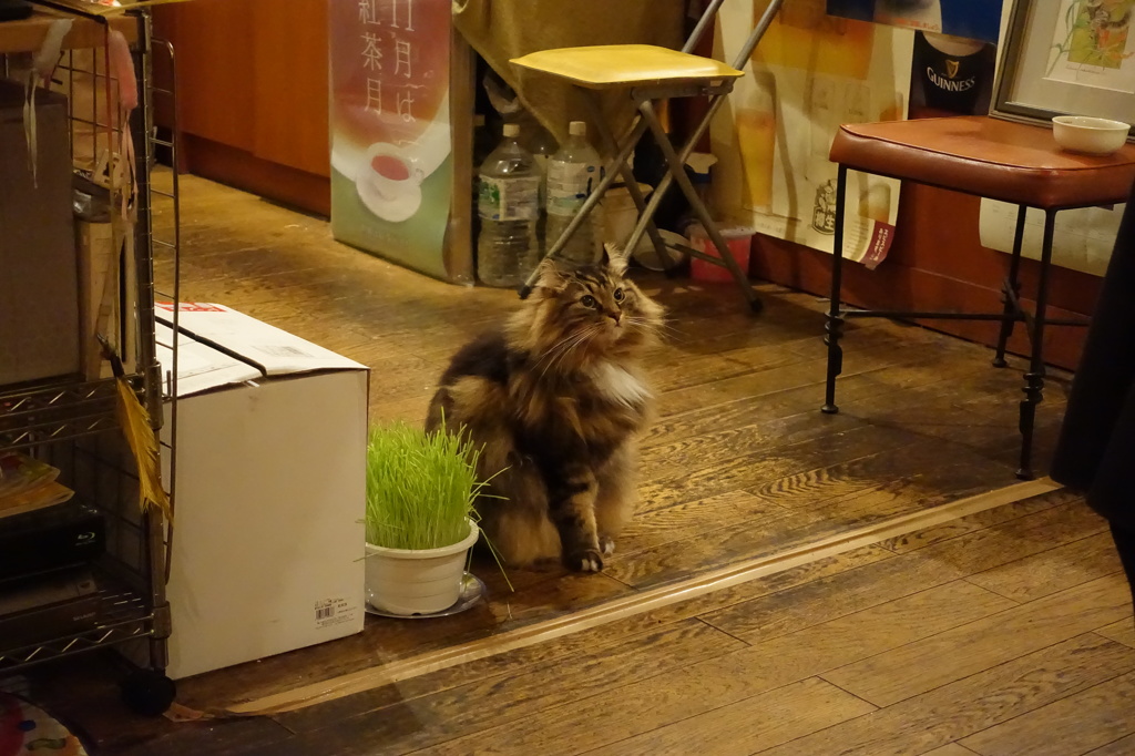 フジフイルムX30の方が上じゃん