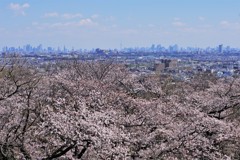 フルサイズで都心方向