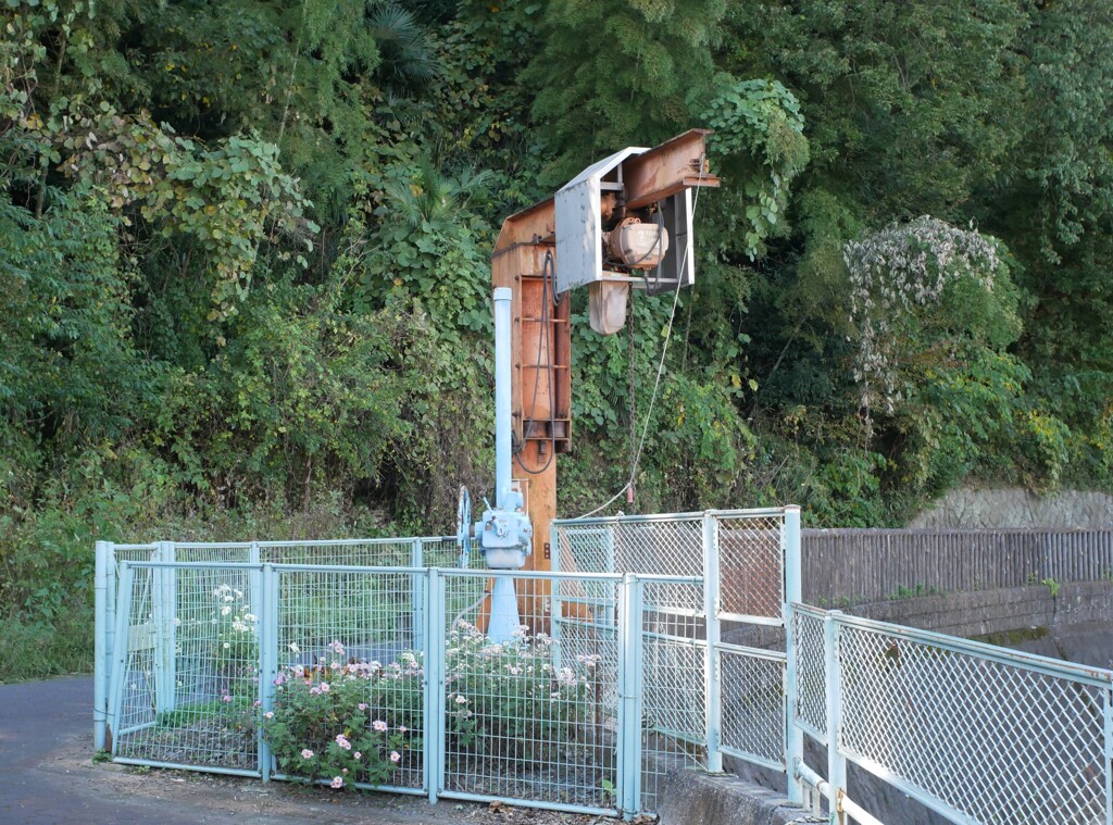 どこでも花咲く町