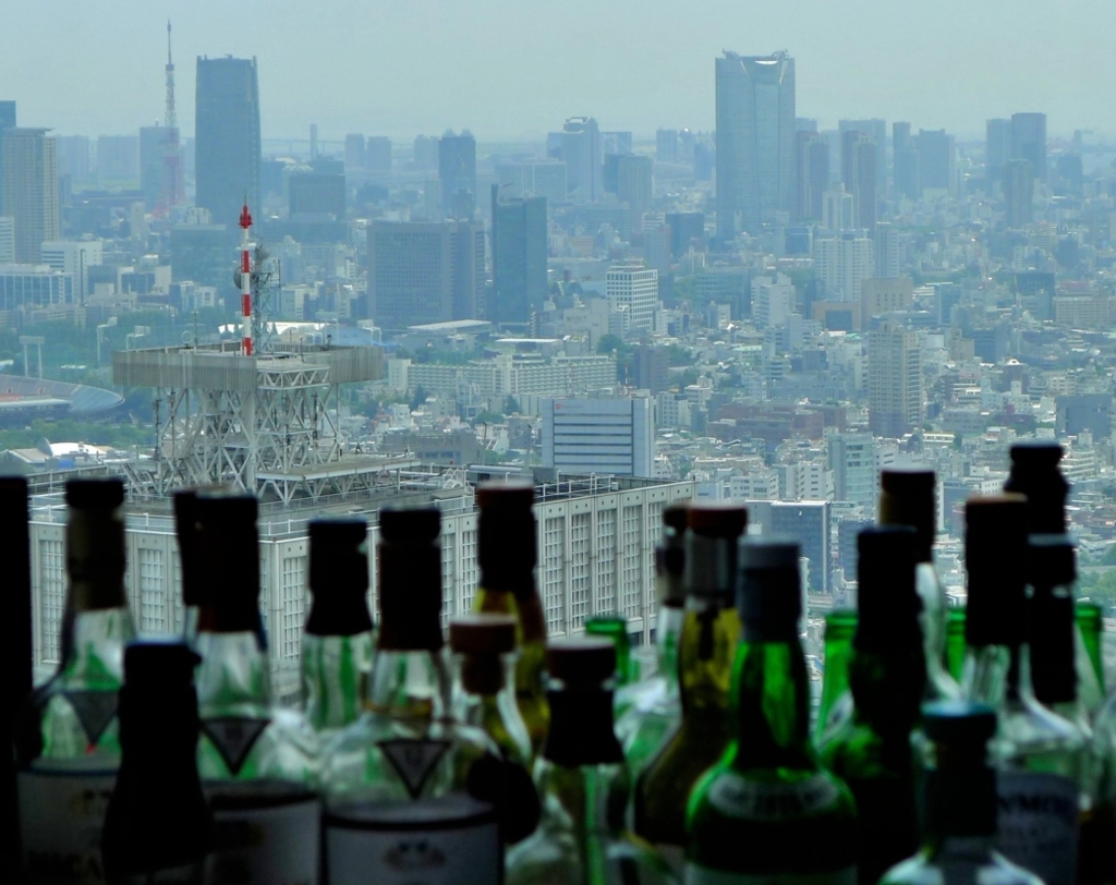 都庁北塔展望室からの眺望