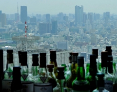 都庁北塔展望室からの眺望