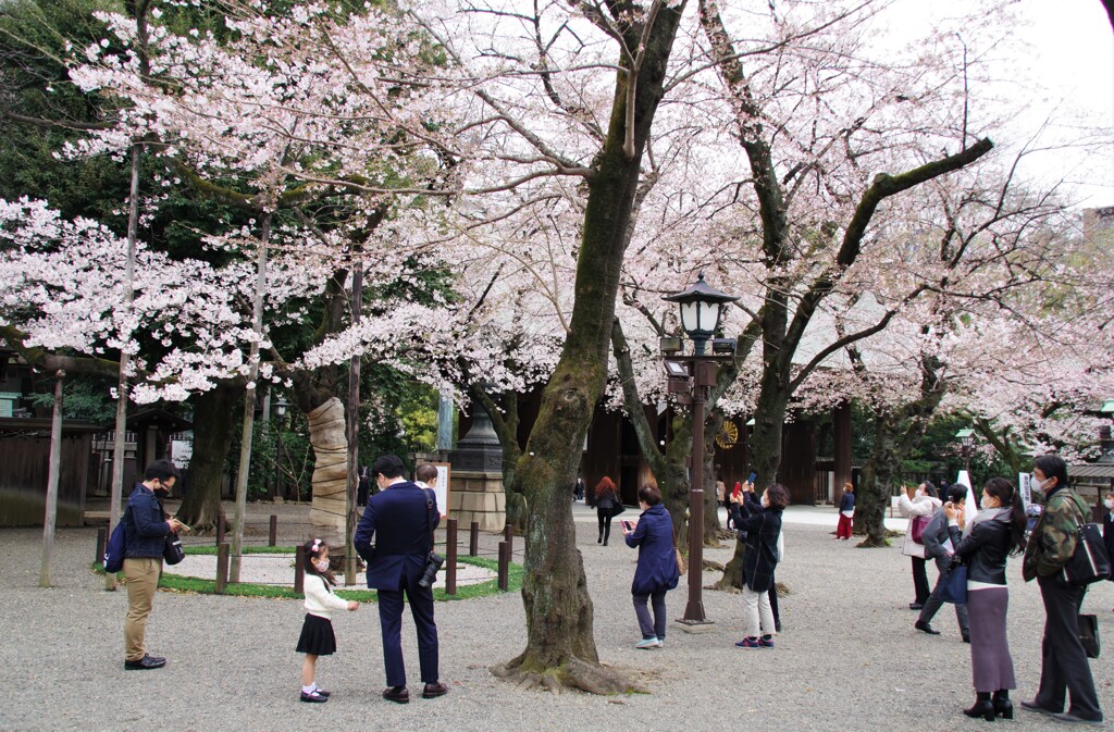 パパにおねだり