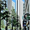 ランチはカレーにするか