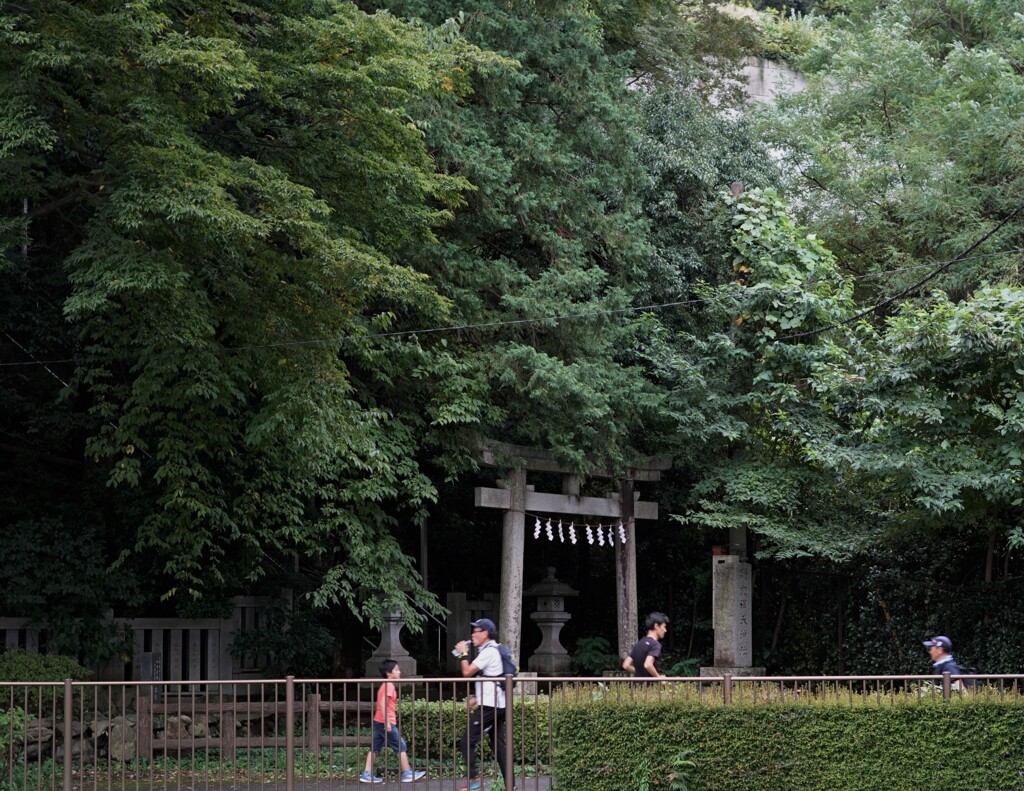 地元に愛される神社