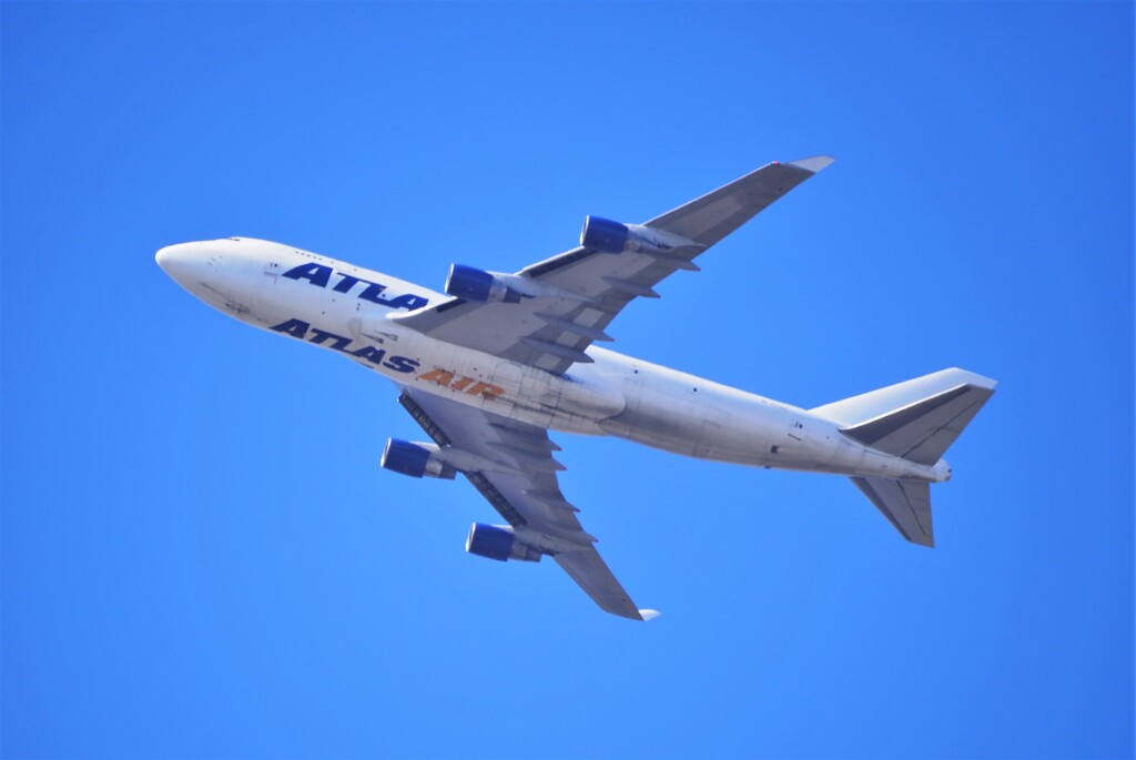 小鳥は来ないが…