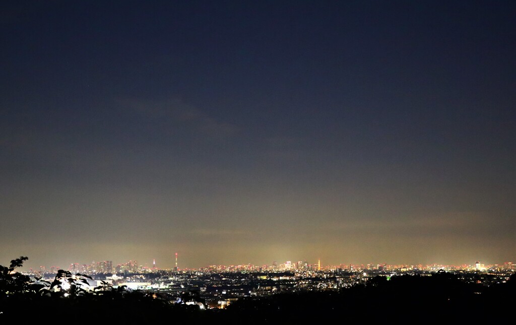 都心の夜景