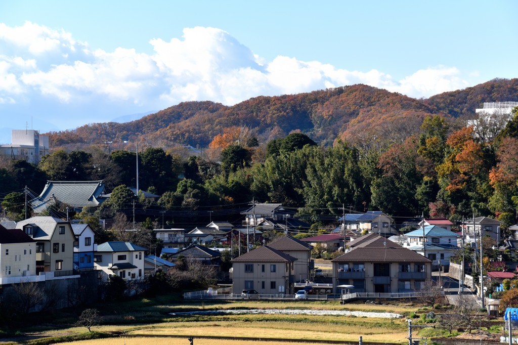 見納めの紅葉